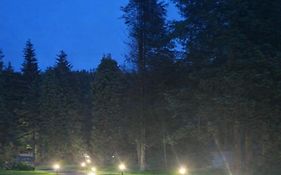 Glenariff Forest Pine Cabin
